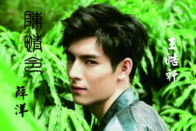 å¤§é™¸æˆ²åŠ‡ é™³æƒ…ä»¤ è–›æ´‹ jigsaw puzzle