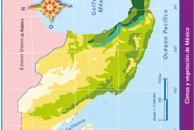 Mapa de vegetaciÃ³n y clima de Mexico jigsaw puzzle