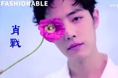 å¤§é™¸ç”·æ¼”å“¡ è‚–æˆ° jigsaw puzzle