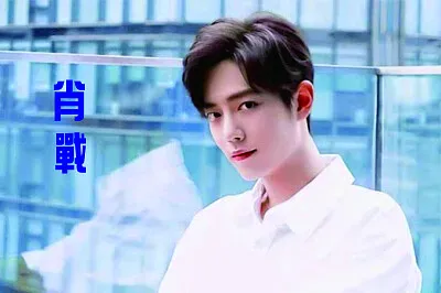 å¤§é™¸ç”·æ¼”å“¡ è‚–æˆ° jigsaw puzzle