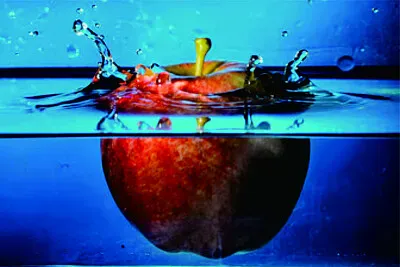 æ”å½±å¤§è³ž jigsaw puzzle