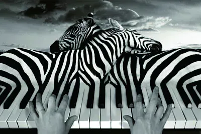 è¶…ç¾å¯¦æ”å½±