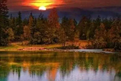 Nature jigsaw puzzle