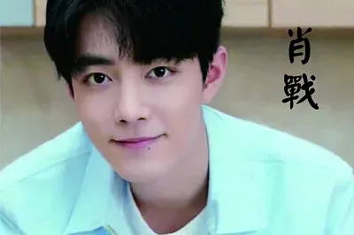 å¤§é™¸ç”·æ¼”å“¡ è‚–æˆ° jigsaw puzzle