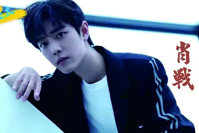 å¤§é™¸ç”·æ¼”å“¡ è‚–æˆ° jigsaw puzzle