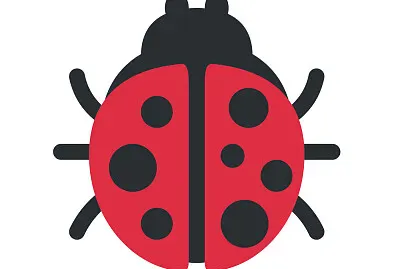 Ladybug