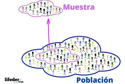 PoblaciÃ³n y muestra jigsaw puzzle