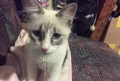 Lluvia Carolina Ruiz Patlan