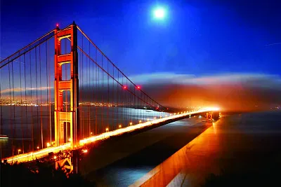 filme Viva a vida Ã© uma festa