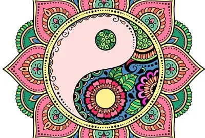 ×§×§×˜×•×¡ 1