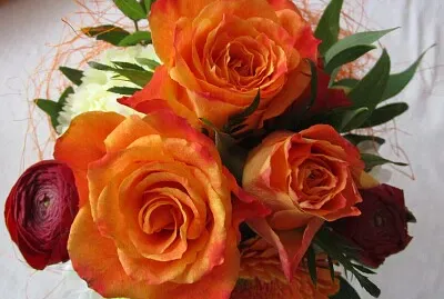 Blume
