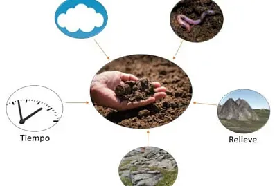 factores de formacion