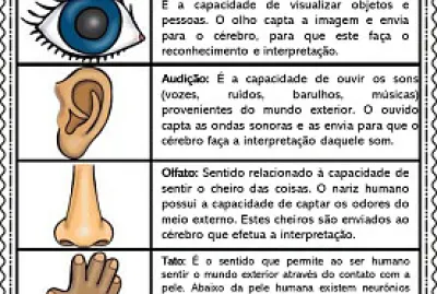 Percebendo o  mundo jigsaw puzzle