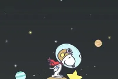 diana osma jigsaw puzzle