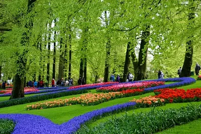 Teste Profe Maidi 0001