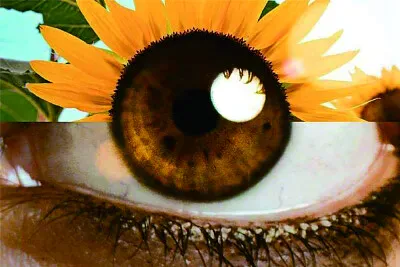 å½±åƒåˆæˆ jigsaw puzzle