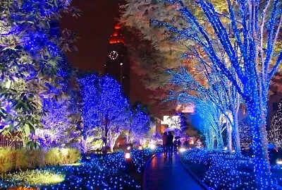 imagem jigsaw puzzle