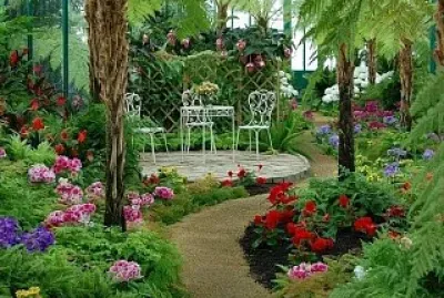 jardÃ­n jigsaw puzzle