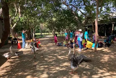 çŽ‹é›…èŠ³