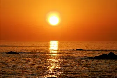 SofÃ­a Barrera jigsaw puzzle