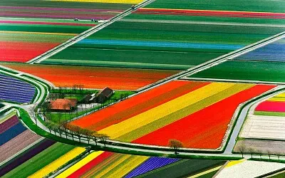 Foto jigsaw puzzle
