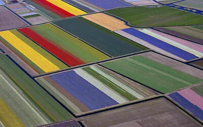Foto jigsaw puzzle