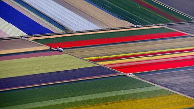 Foto jigsaw puzzle