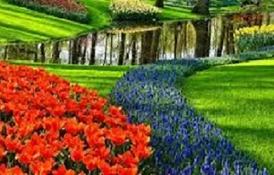 Foto jigsaw puzzle