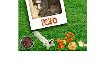 Perrito jigsaw puzzle