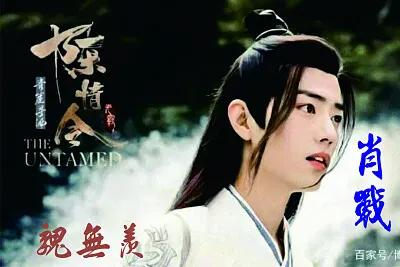 å¤§é™¸ç”·æ¼”å“¡ è‚–æˆ° jigsaw puzzle