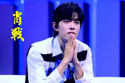 å¤§é™¸ç”·æ¼”å“¡ è‚–æˆ° jigsaw puzzle