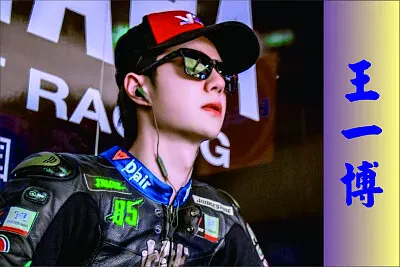 å¤§é™¸ç”·æ¼”å“¡æš¨è³½è»Šæ‰‹ çŽ‹ä¸€åš jigsaw puzzle