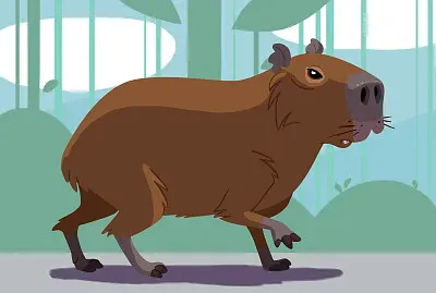 CAPIVARA