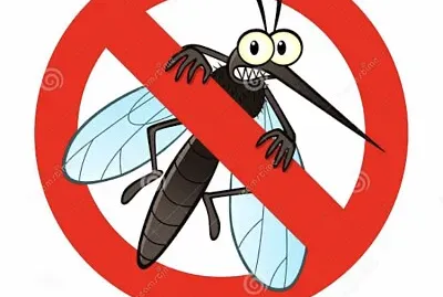 JanaÃ­na Nascimento