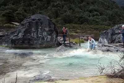 DISFRUTANDO LA NATURALEZA
