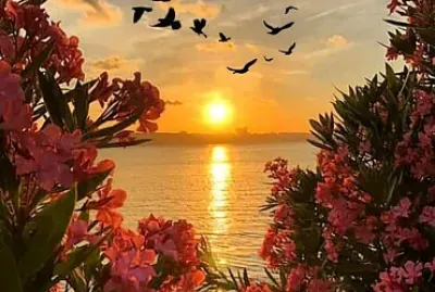 Natureza jigsaw puzzle