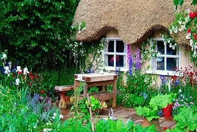 Foto jigsaw puzzle