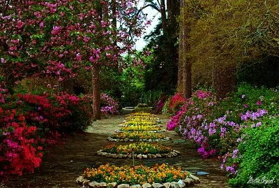 Flower jigsaw puzzle