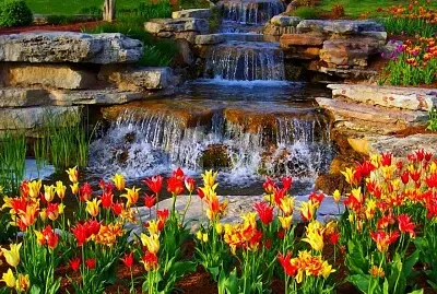 פאזל של Flower