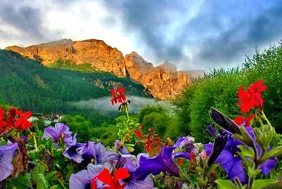 פאזל של Flower