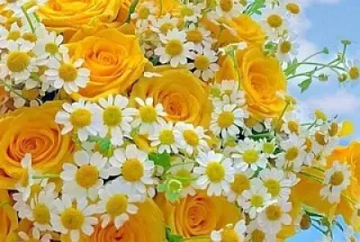 flores10