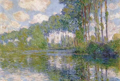 Poplar ÙƒÙ„ÙˆØ¯ Ù…ÙˆÙ†ÙŠÙ‡
