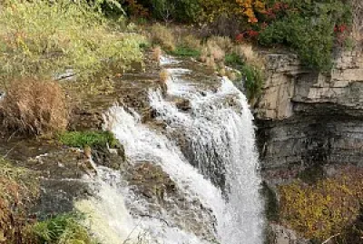 002 - Webster falls en dudas
