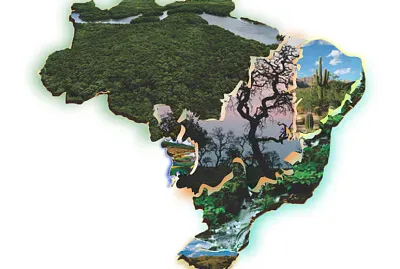 VegetaÃ§Ã£o