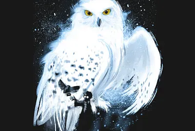 Hedwig