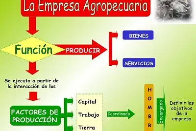 Detalle de las empresas agropecuarias