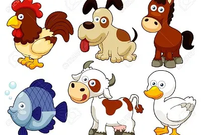 Edad de 6 a 12 aÃ±os