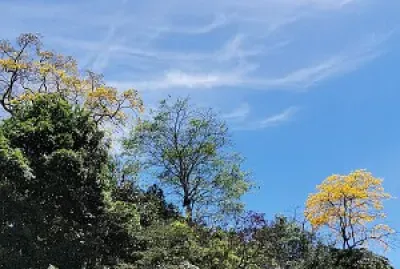 LOS COLORES DE MI TIERRA jigsaw puzzle