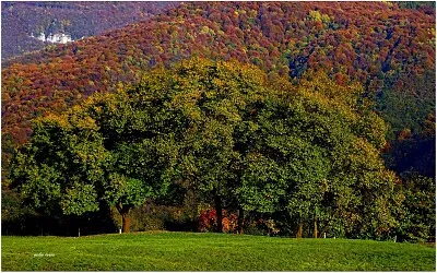 autunno in lessinia ,Verona