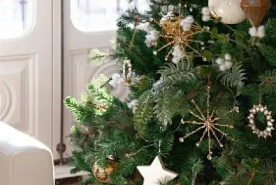 navidad